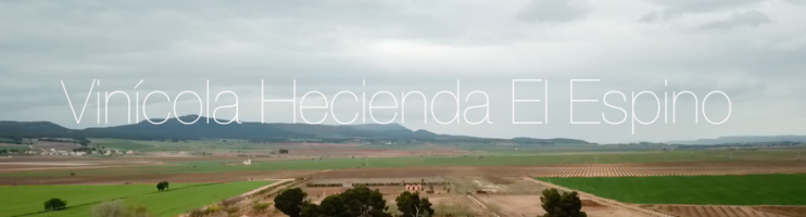 Vinícola Hacienda El Espino / Espanha