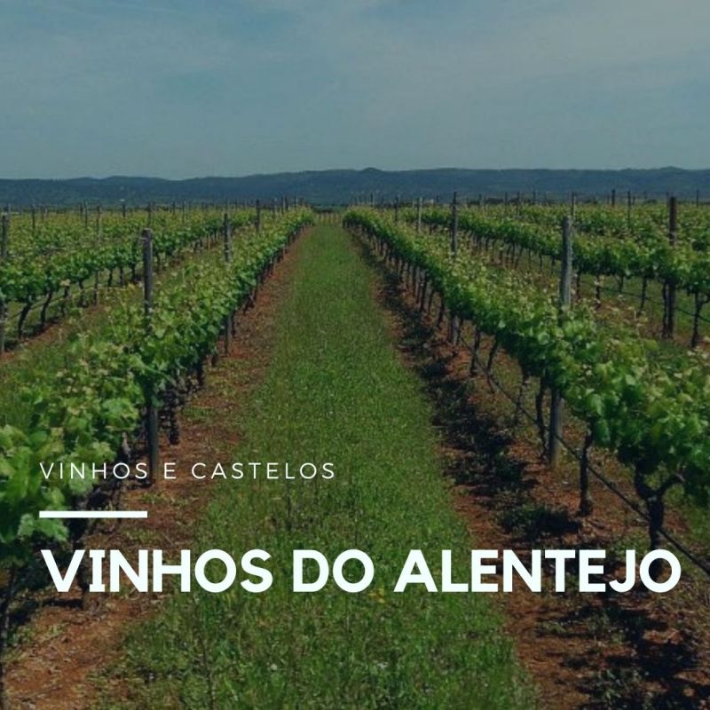 Vinhos do Alentejo Portugal