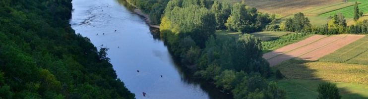 As sub-regiões vitivinícolas de Bordeaux – França