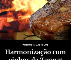 Harmonização com vinhos Tannat