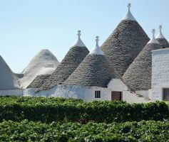 Vinhos de Puglia – Itália