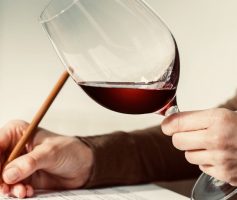 Degustação de vinhos – parte 1 – análise visual