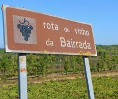 Bairrada – uma região vitivinícola portuguesa