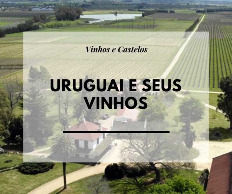 Vinhos do Uruguai