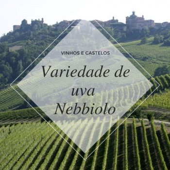 Variedade de uva Nebbiolo