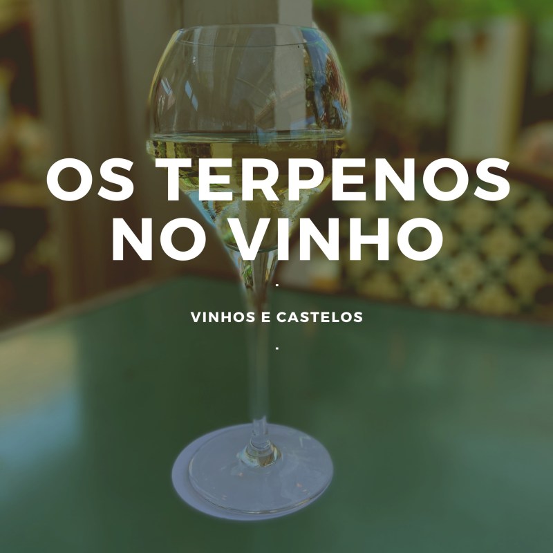 O que são os terpenos no vinho