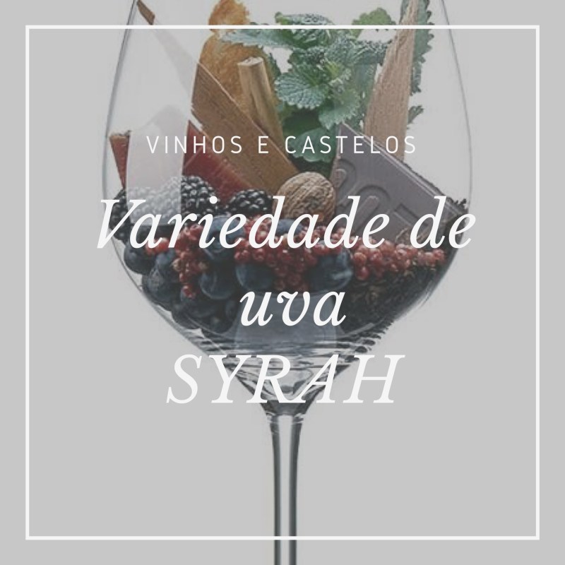 Variedade de uva: Syrah