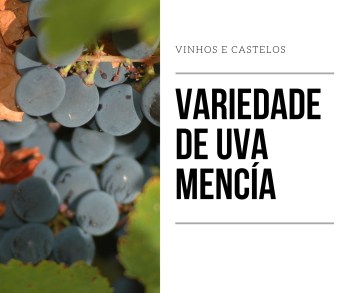 Variedade de uva Mencía