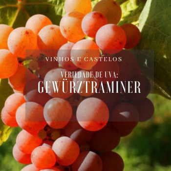 Variedade de uva Gewürztraminer