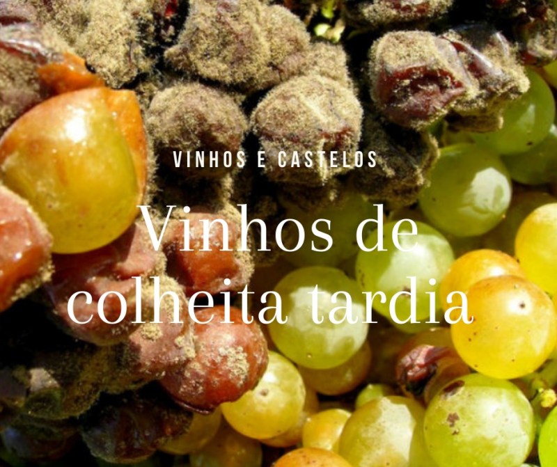 Conheça vinhos de colheita tardia