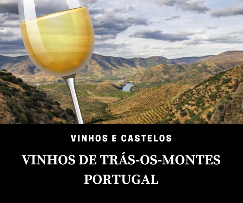 Região vinícola Trás-os-Montes – Portugal