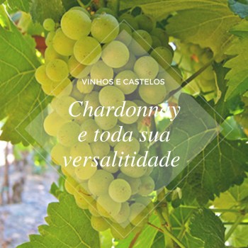 Chardonnay e toda sua versatilidade