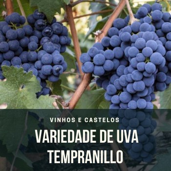 Variedade de uva: Tempranillo