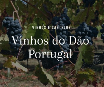 Vinhos do Dão – Portugal