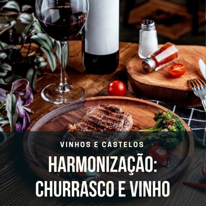 Harmonização churrasco com vinho
