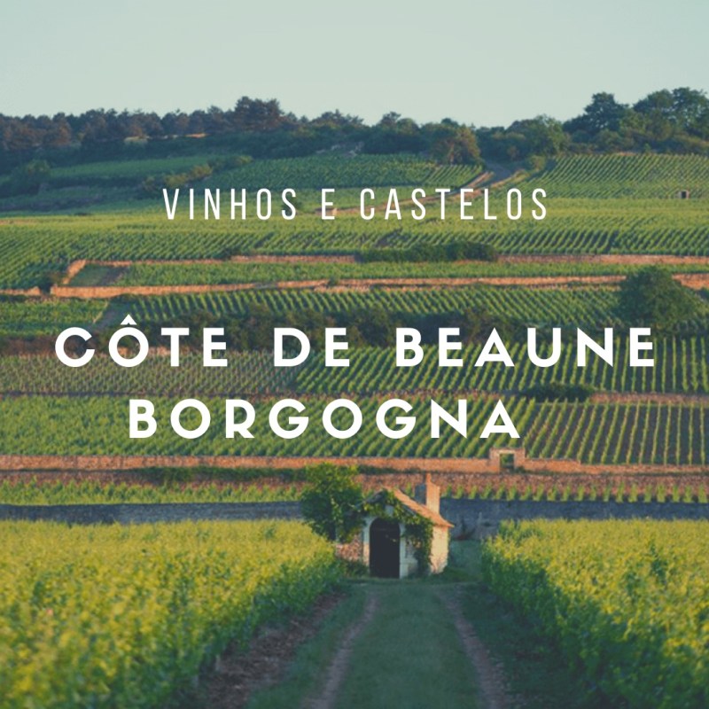 Côte de Beaune e seus grandes vinhos brancos da Borgogna