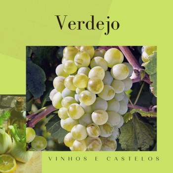 Variedade de uva: Verdejo