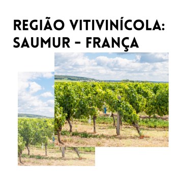 Região vitivinícola: Saumur (França)