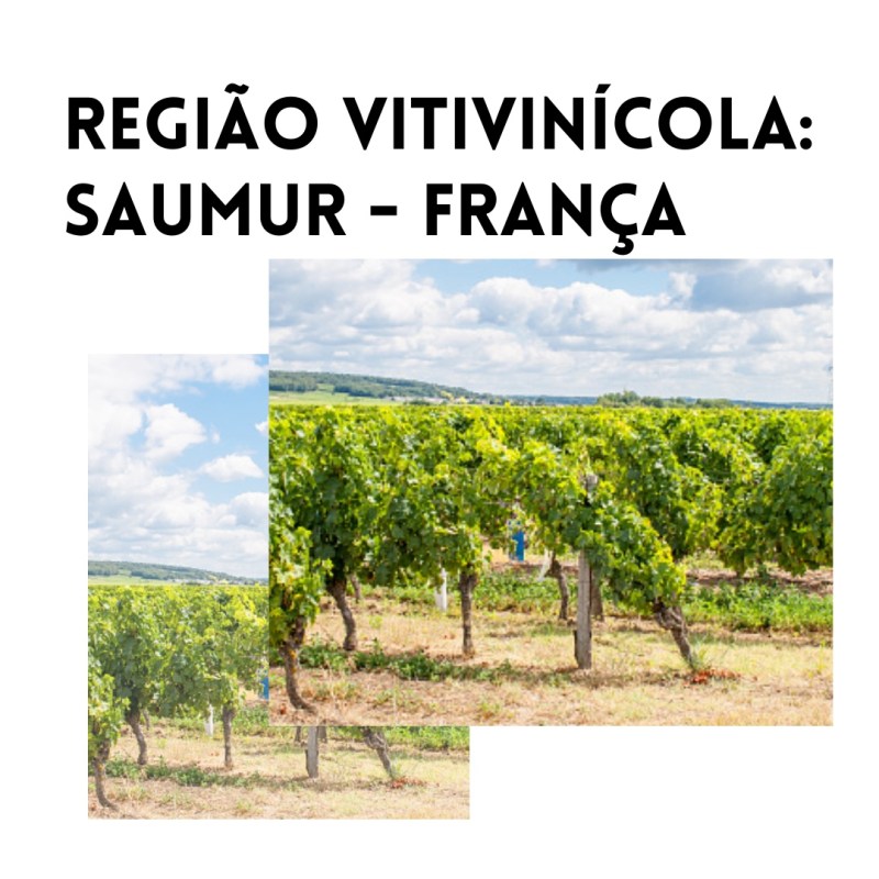 Região vitivinícola: Saumur (França)