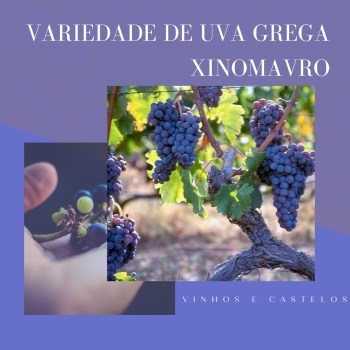 Variedade de uva grega: Xinomavro
