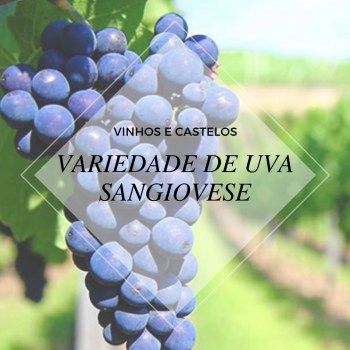 Variedade de uva: Sangiovese