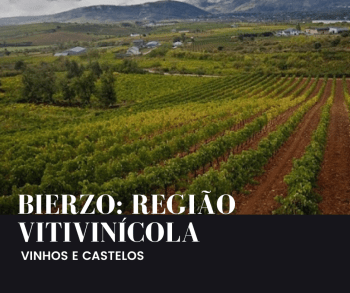 Região vitivinícola: Bierzo – Espanha