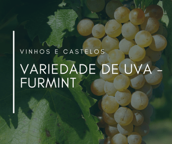 Variedade de uva: Furmint