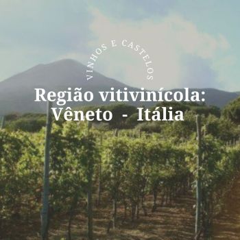 Região vitivinícola Vêneto – Itália