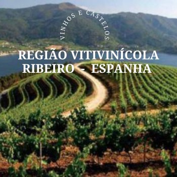 Região vitivinícola: D.O. Ribeiro – Espanha