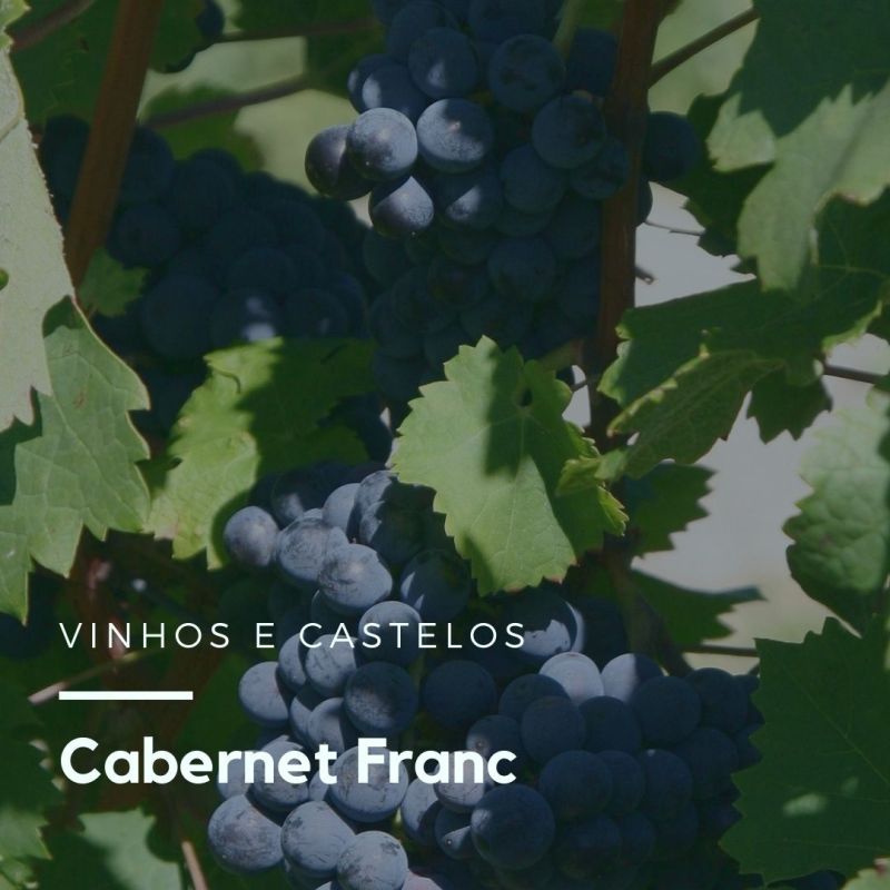 Variedade de uva: Cabernet Franc