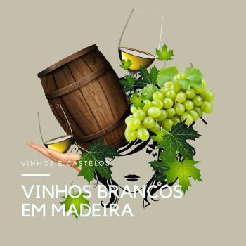 Vinhos brancos em madeira