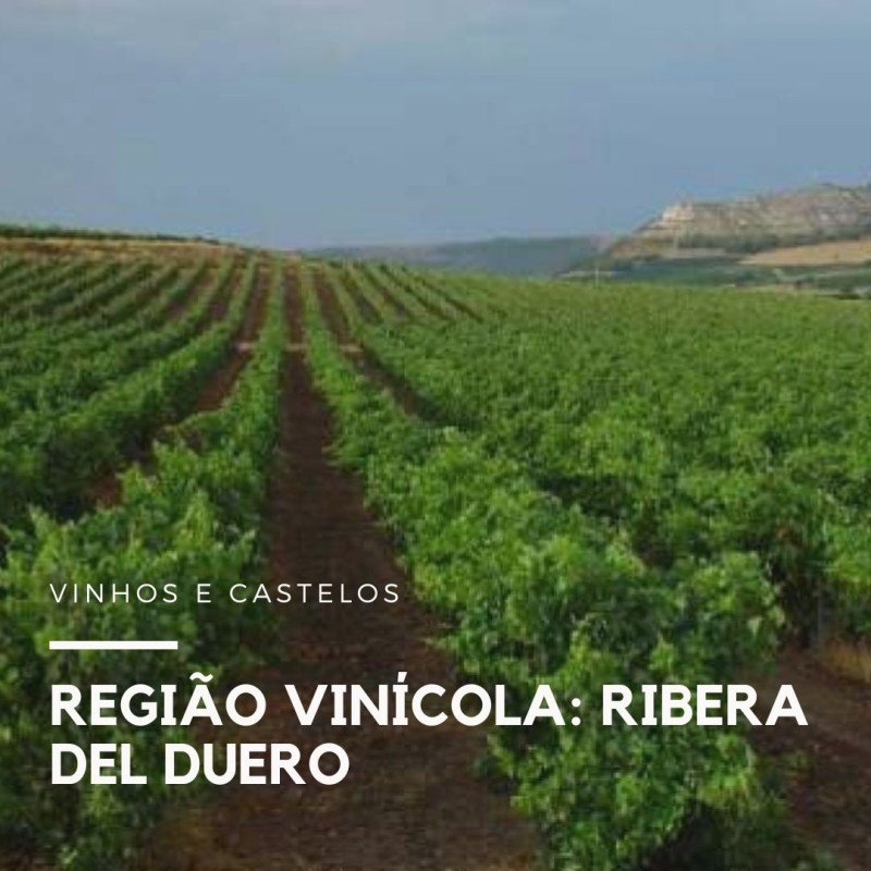 Região vitivinícola: Ribera del Duero