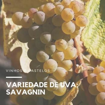 Variedade de uva: Savagnin