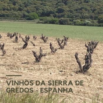 Vinhos da Sierra de Gredos – Espanha