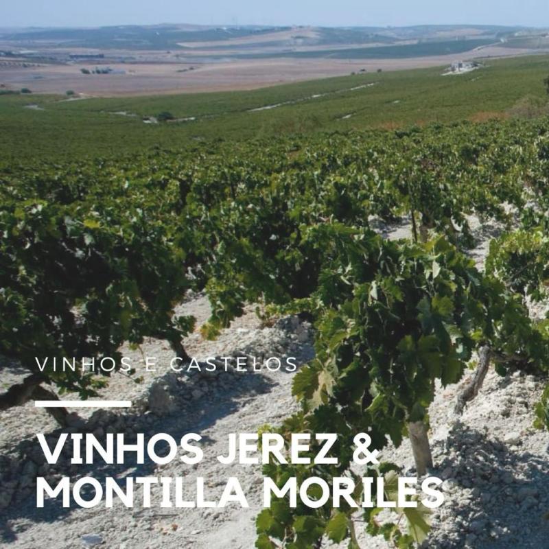 Diferença entre os vinhos espanhóis de Montilla Moriles e Jerez