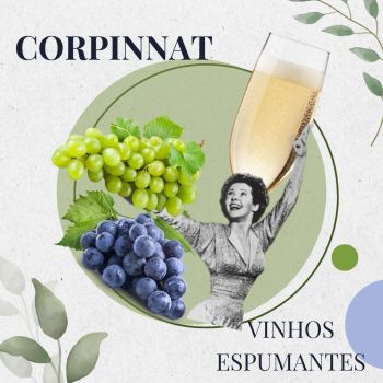 Gosta das borbulhas? Corpinnat – saiba mais sobre esse vinho espumante