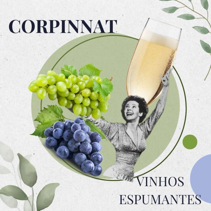 Gosta das borbulhas? Corpinnat – saiba mais sobre esse vinho espumante