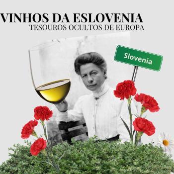 Vinhos da Eslovênia – tesouros ocultos da Europa