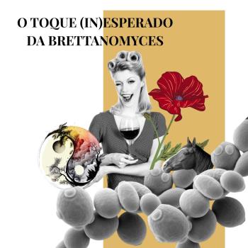 Metamorfose do Vinho – O Toque (In)esperado da Brettanomyces (Brett)