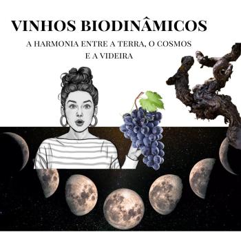 Vinhos Biodinâmicos – Harmonia entre a Terra, o Cosmos e a Videira