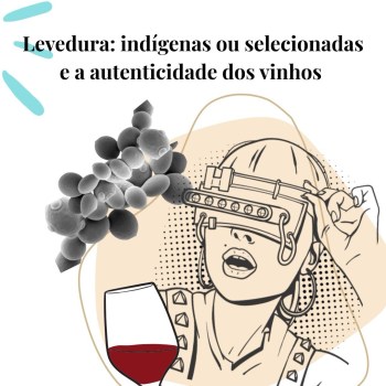 Levedura – indígenas ou selecionadas e a autenticidade dos vinhos