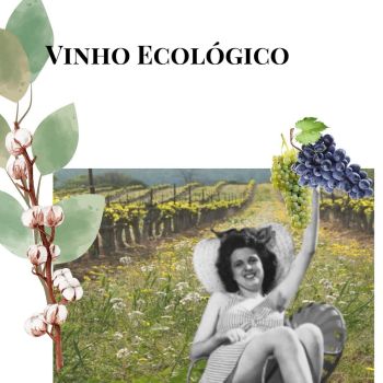 O que faz um vinho ser ecológico